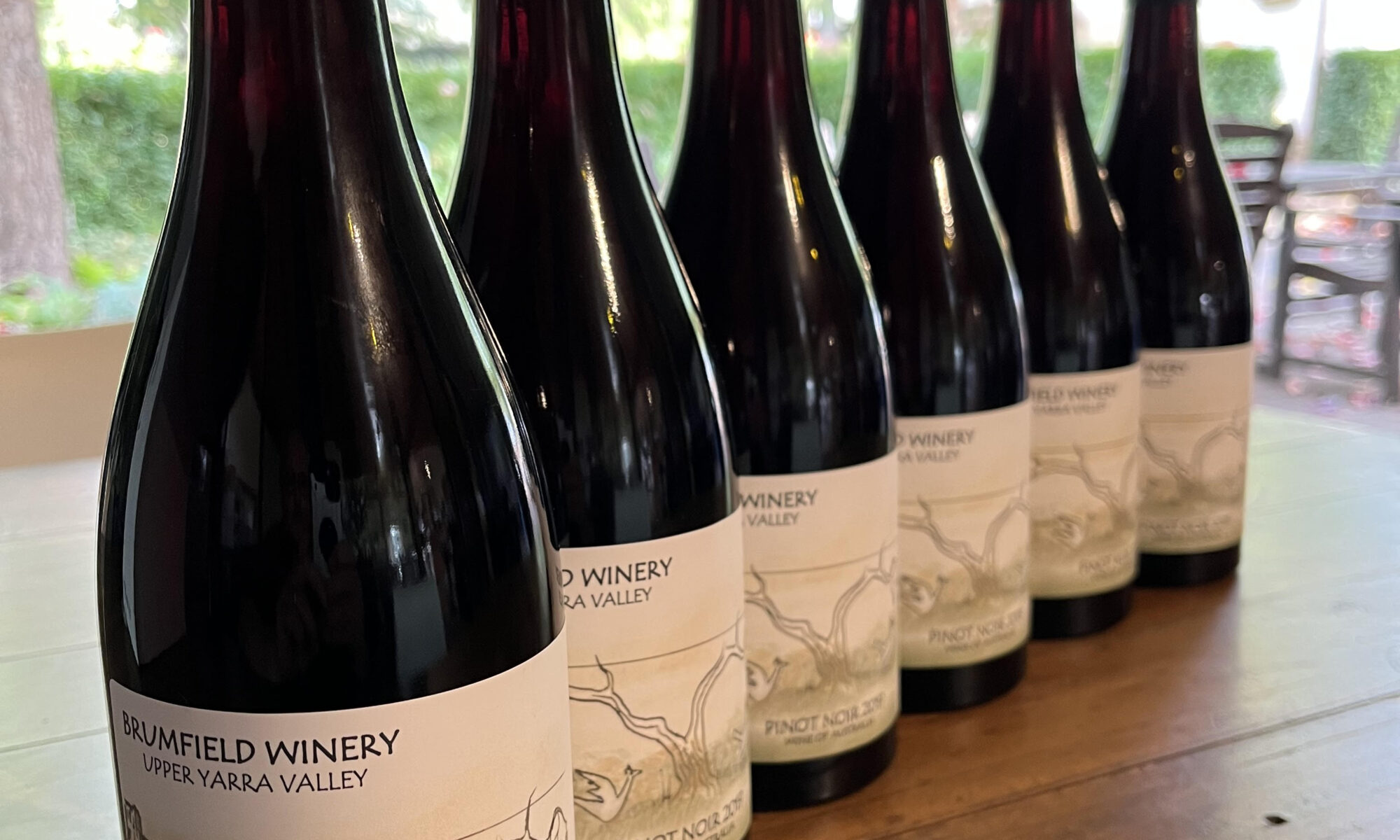 BRUMFIELD WINERY – 6 BOTTLE PACK Pinot Noir $200 – BRUMFIELD WINERY