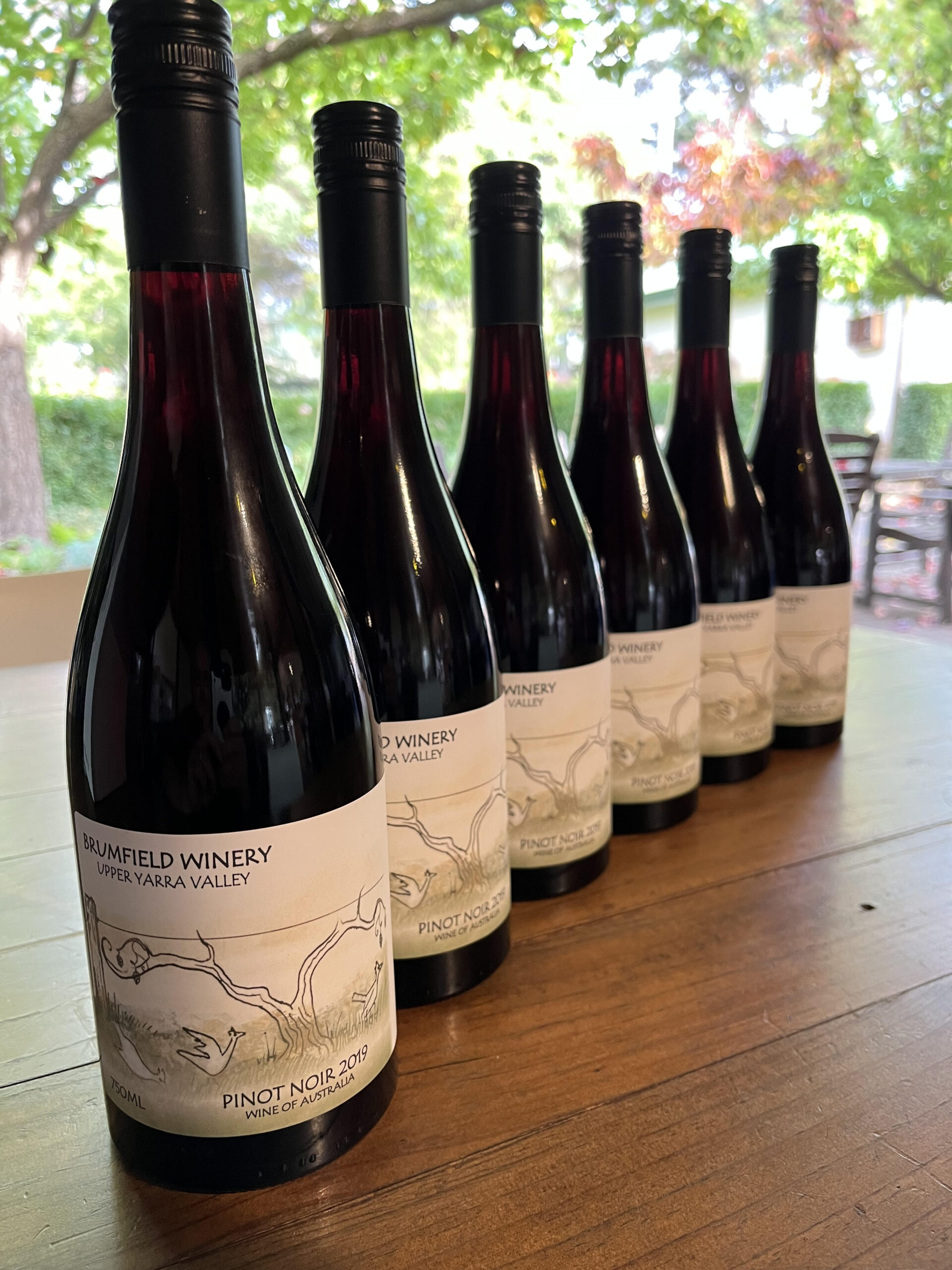BRUMFIELD WINERY – 6 BOTTLE PACK Pinot Noir $216